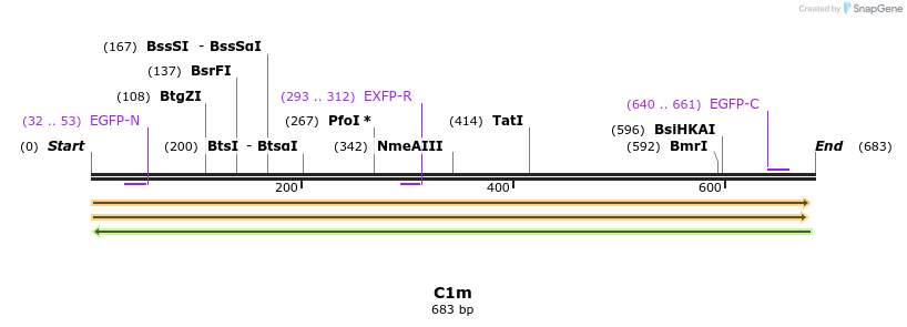 229964_map