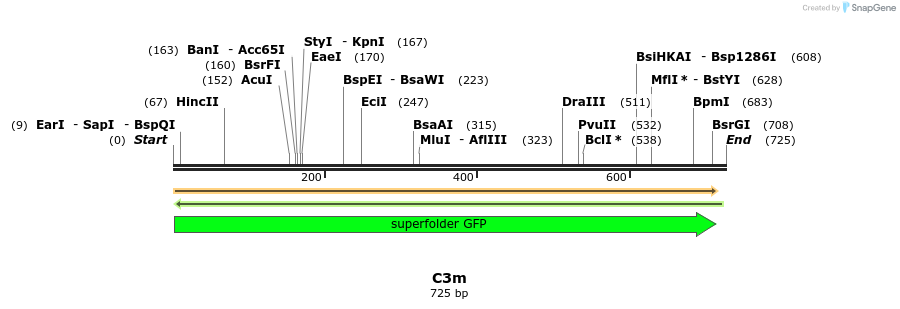 229966_map