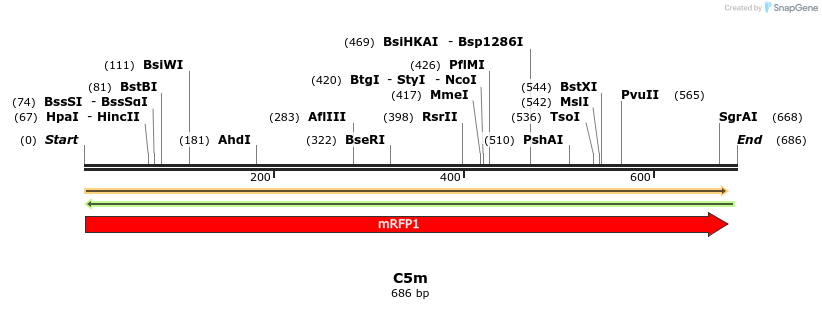 229968_map