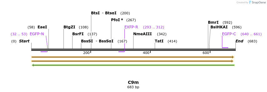 229970_map
