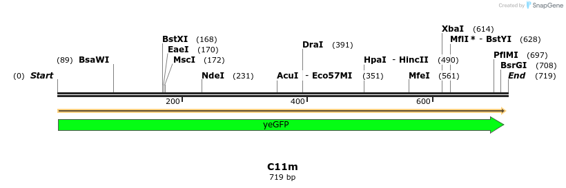 229972_map
