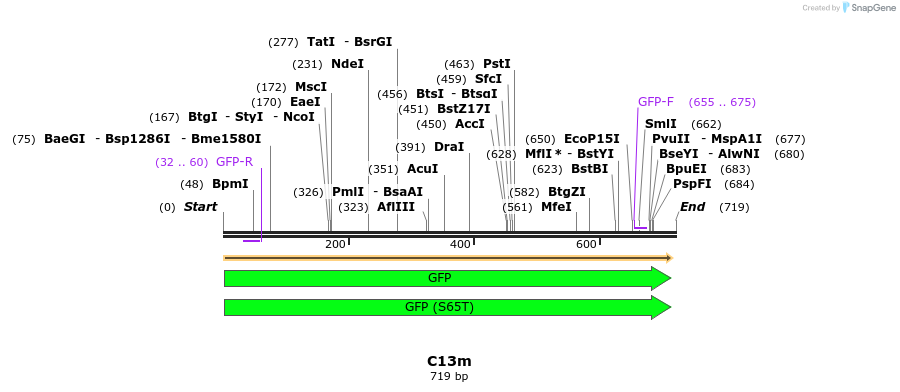 229974_map