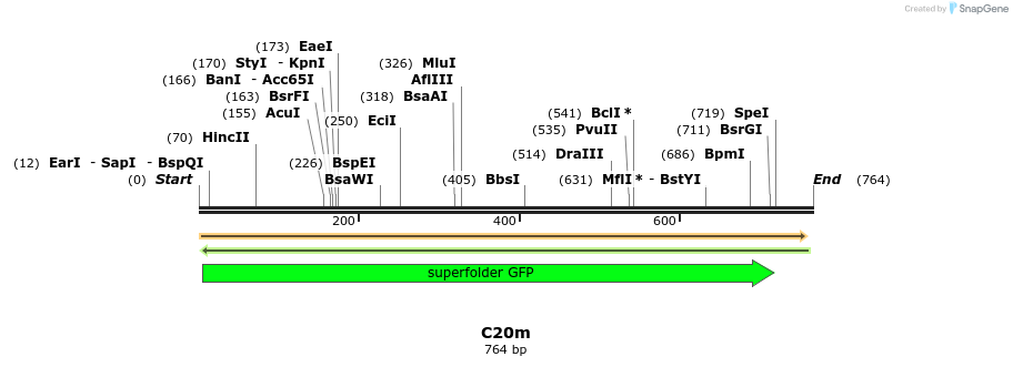 229976_map