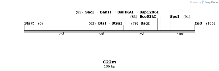 229980_map