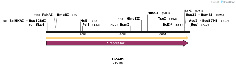 229982_map