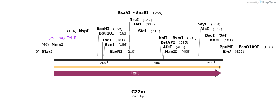 229984_map