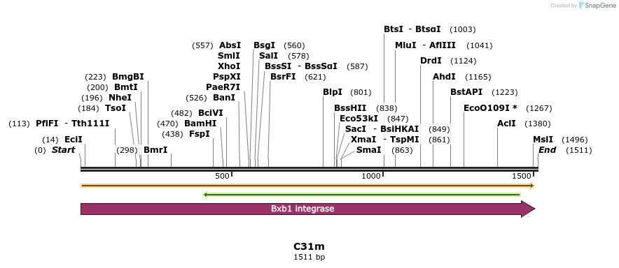 229986_map