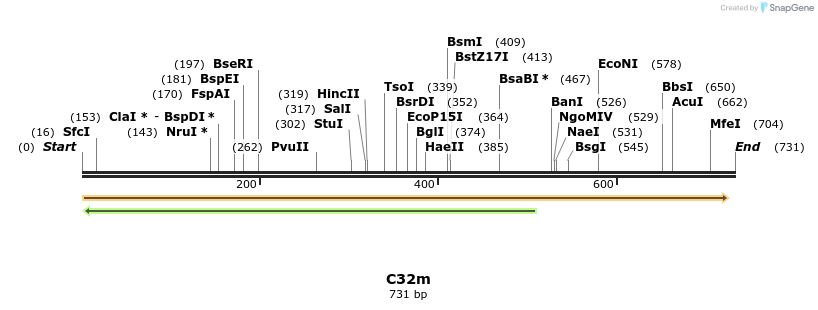 229988_map