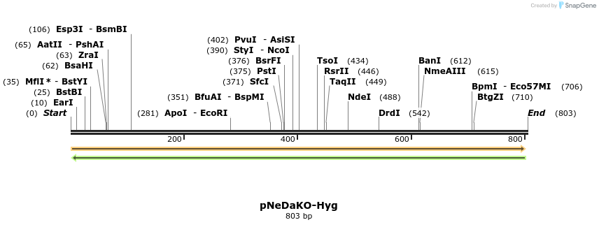 22999_map