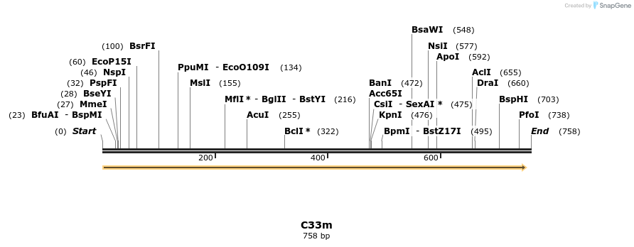229990_map