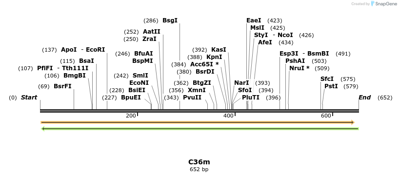 229994_map