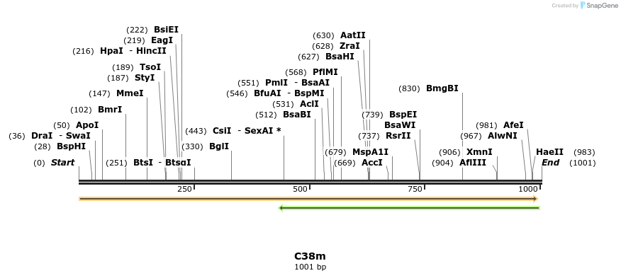 229996_map