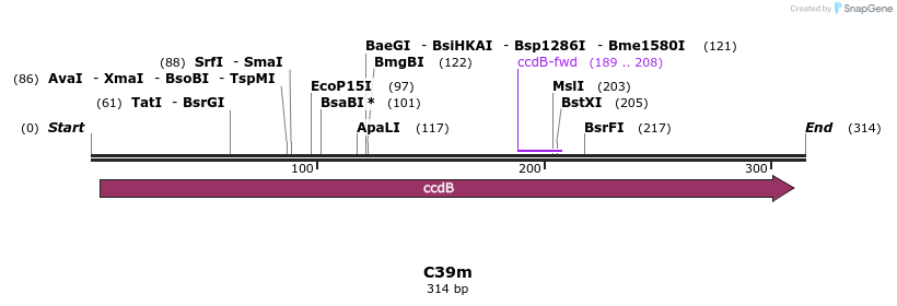 229998_map