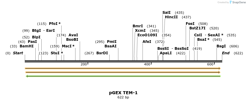 23000_map