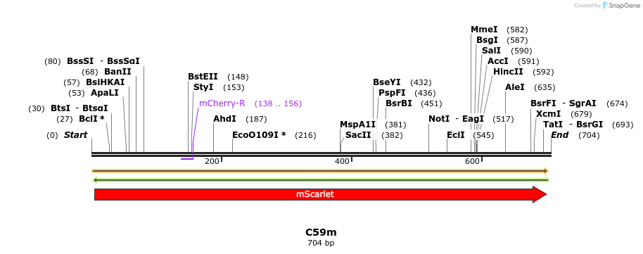 230006_map