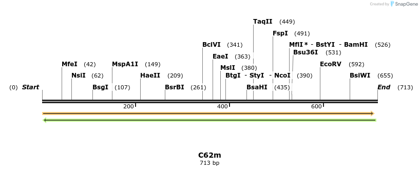230010_map