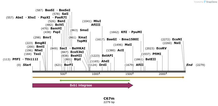 230016_map