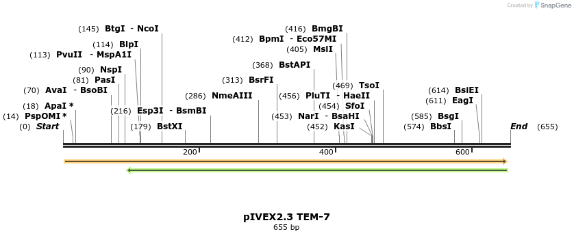 23002_map