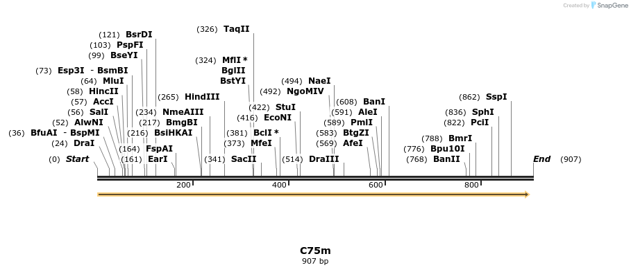 230028_map