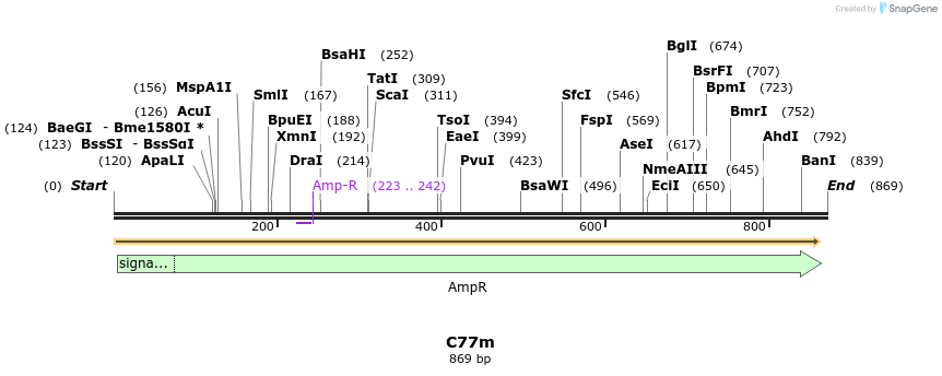 230032_map
