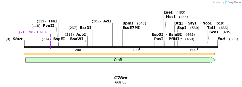 230034_map