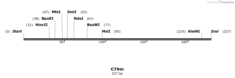 230036_map