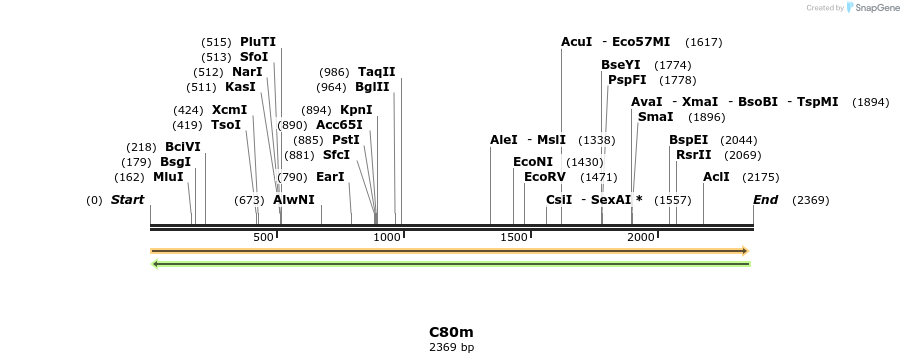 230038_map