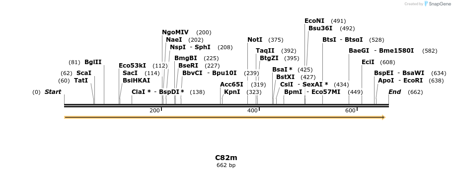 230040_map
