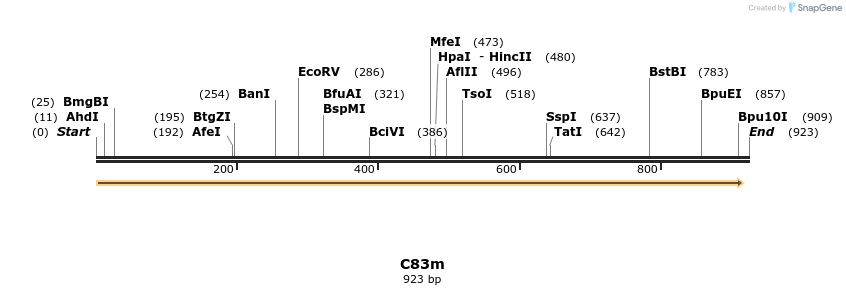 230042_map