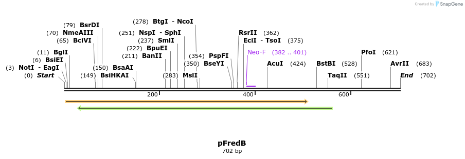 23005_map