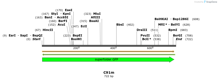 230052_map