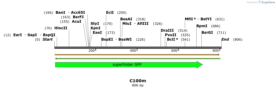 230062_map