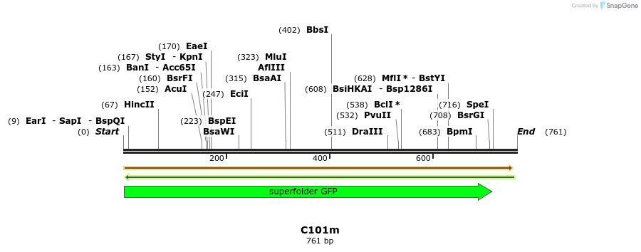 230064_map
