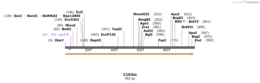 230066_map