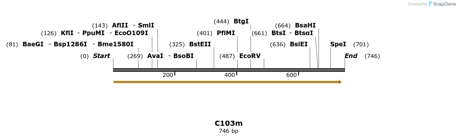 230068_map