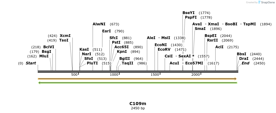 230076_map