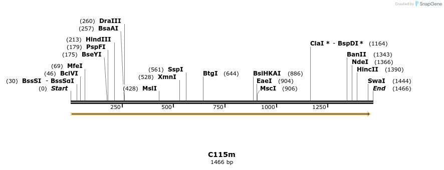 230082_map