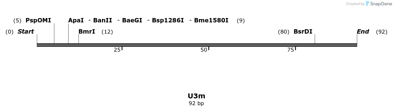 230086_map