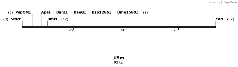 230090_map