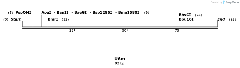 230092_map