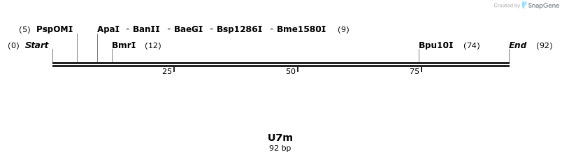 230094_map