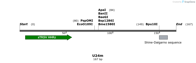 230106_map