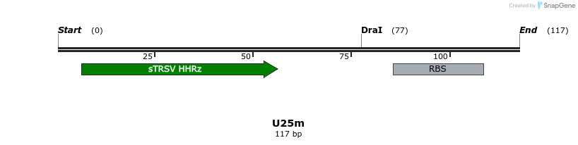 230108_map