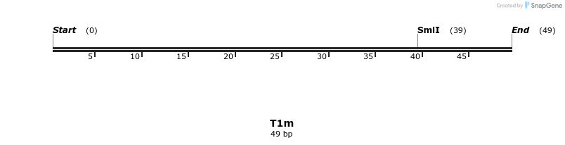 230110_map