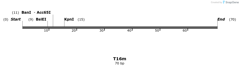 230124_map