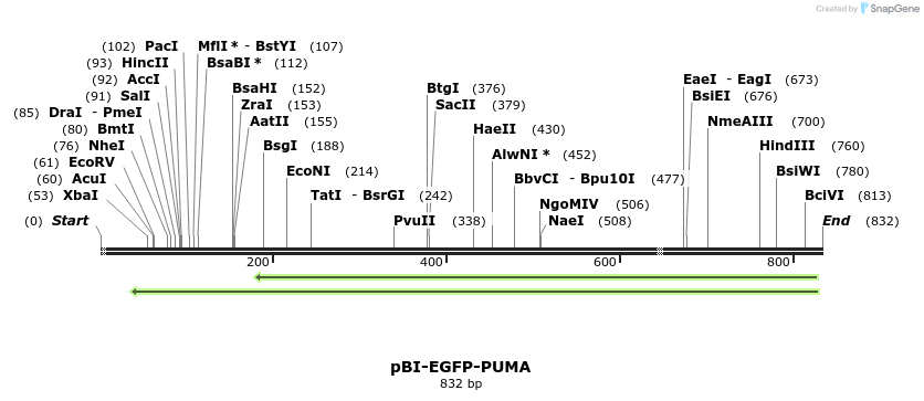 23013_map