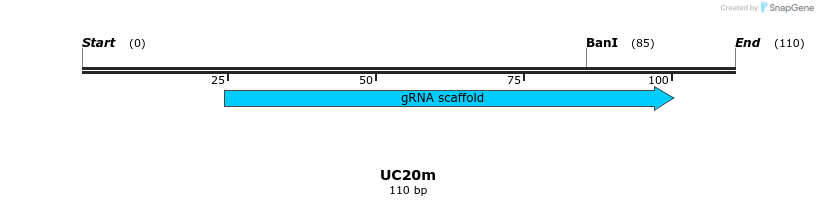 230134_map