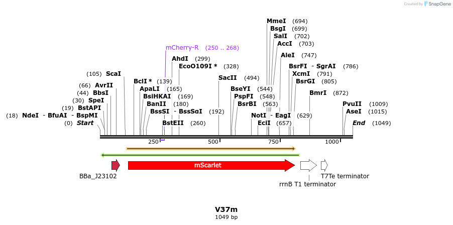 230140_map