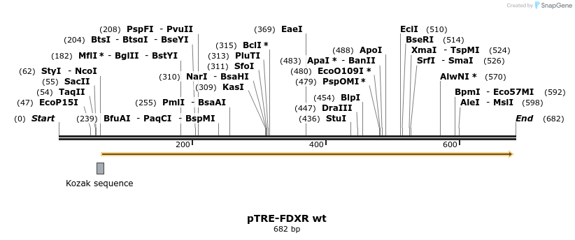 23017_map
