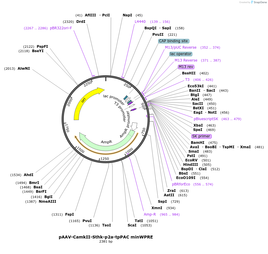 230198_map